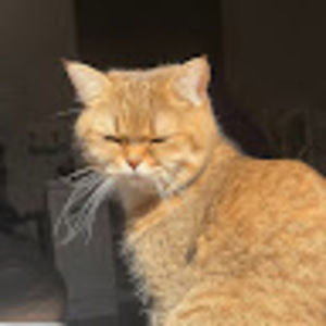 Meet your Posher, Lili